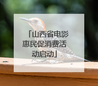 山西省电影惠民促消费活动启动